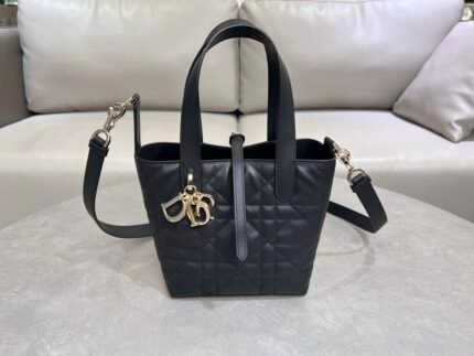 Dior Toujours vertical handbag 2835