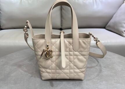 Dior Toujours vertical handbag 2835