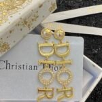 Dior earrings hot selling item