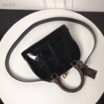 Louis Vuitton Tote Miroir Shell Bag M54785 - Image 5