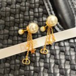 Dior letter earrings